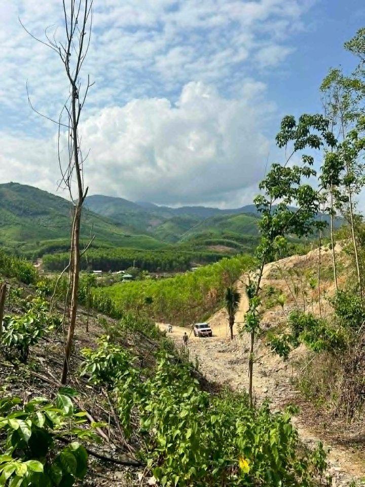 bán 6.700m2 gần Hương Lộ 62 xã Khánh Phú, Khánh Vĩnh giá chỉ 470tr