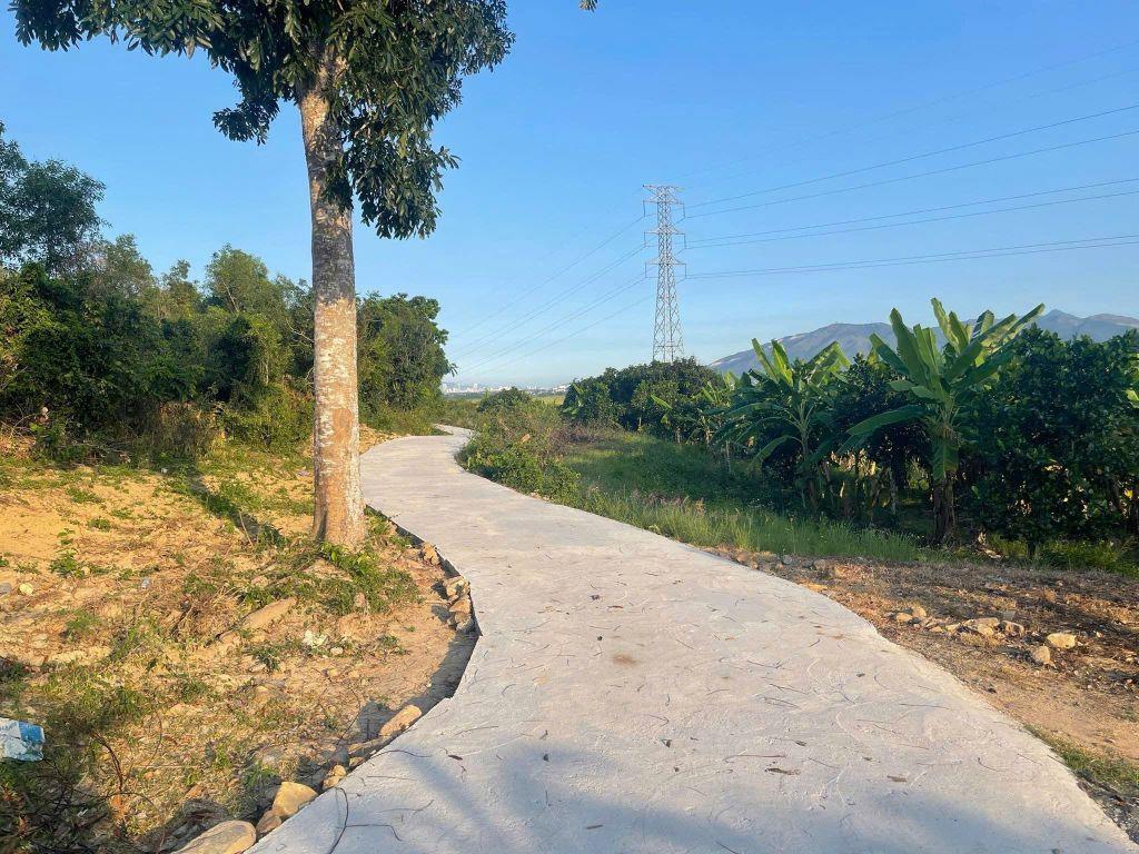 bán 26.000m2 đất có sẵn vườn trái cây đường betong, Diên Khánh, Khánh Hoà giá rẻ