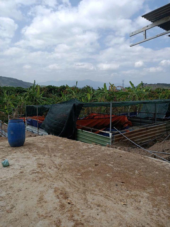bán 26.000m2 đất có sẵn vườn trái cây đường betong, Diên Khánh, Khánh Hoà giá rẻ