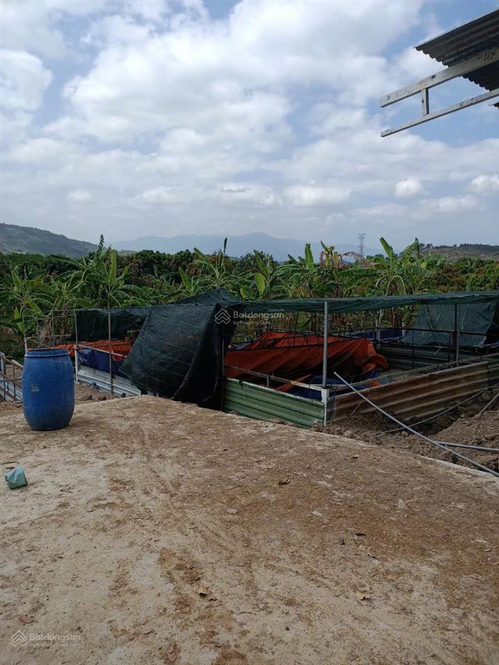Bán vườn trái cây gần biển nha trang, rộng 26.000m2 đường betong giá chỉ 134k/m2  0788 558 ***
