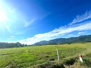 bán 2.000m2 đất view đẹp gần đường nhựa HL62 xã Diên Tân, Diên Khánh giá chỉ 750k/m2
