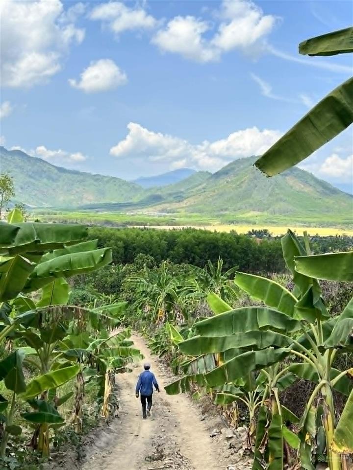 Bán đất làm nhà vườn view đẹp rộng 13.000m2 đường ô tô giá chỉ 114k/m2 cách nha trang 30p