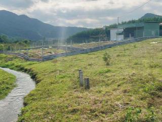 bán 6.000m2 có Suối Nhỏ gần Hồ Cây Sung xã Diên Tân, Diên Khánh giá rẻ LH 0788.558.552