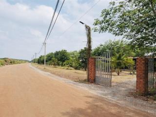 Bán đất sổ riêng tại dầu tiếng 539 triệu sang tên ngay