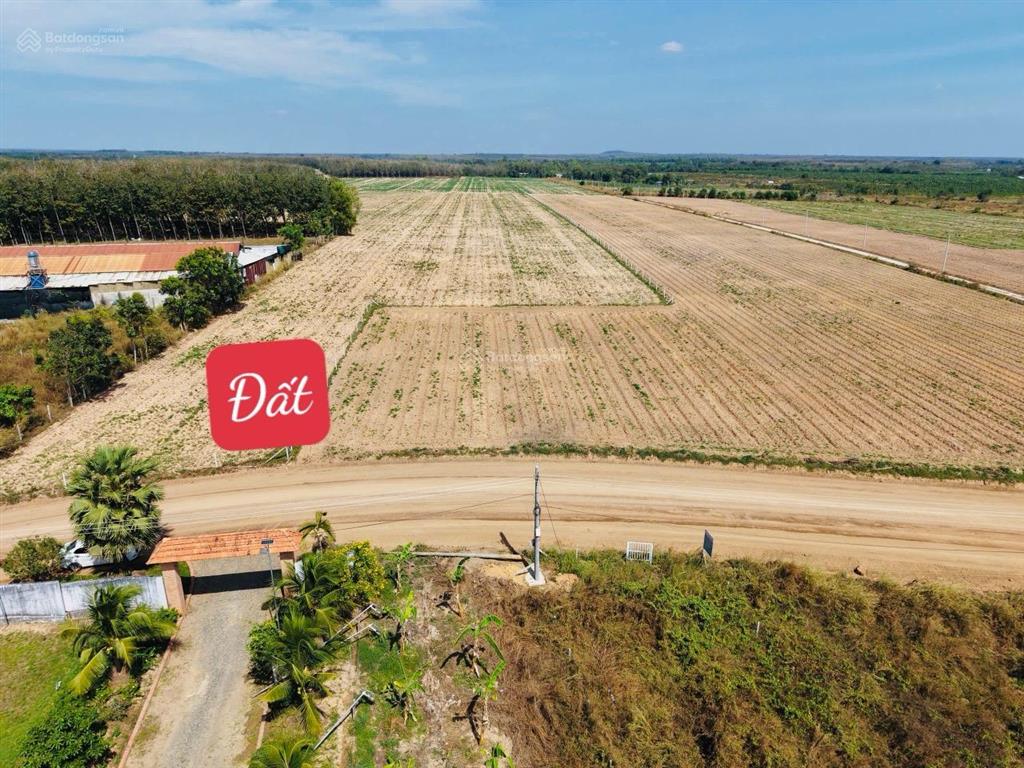 Bán đất sổ hồng riêng 10m tại thành phố hồ chí minh 779 triệu. sang tên công chứng
