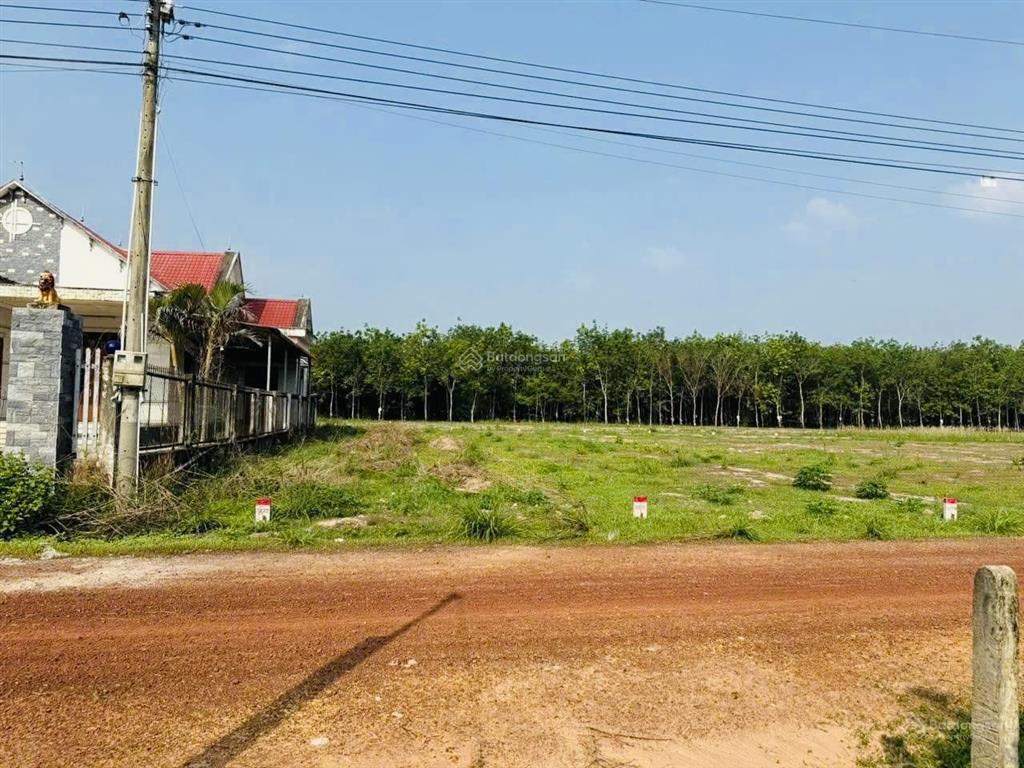 Bán đất sổ riêng 1417,1m2 tại thành phố hồ chí minh