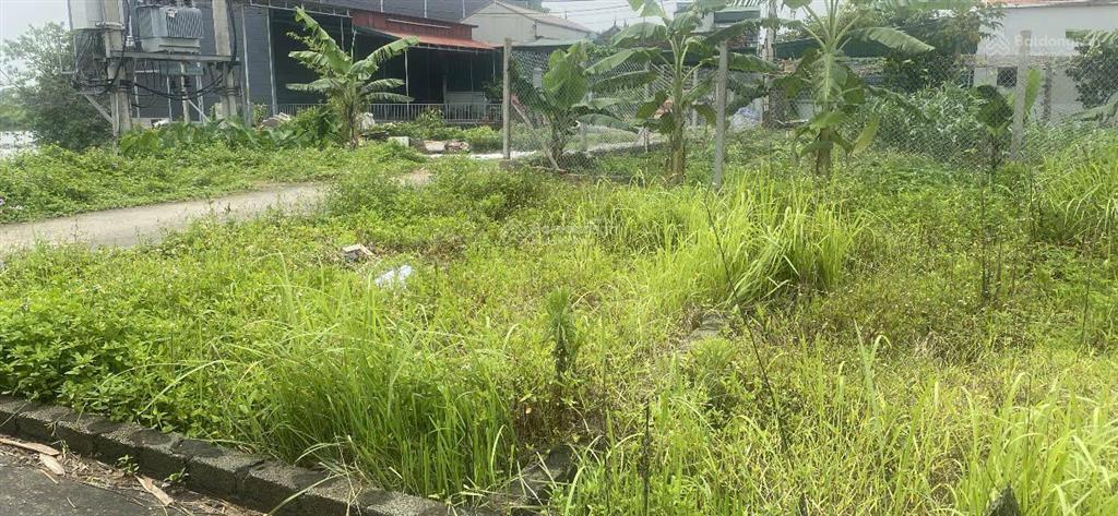 Chính chủ bán đất tại tỉnh lộ 428, hồng thái, phú xuyên, giá đầu tư 1,62 tỷ, 80 m2, nở hậu, ô tô đỗ