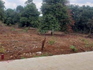 1.000m2 đất vườn chôm chôm đẹp liền kề đt 770b dầu giây, giá chỉ 1,35 tỷ