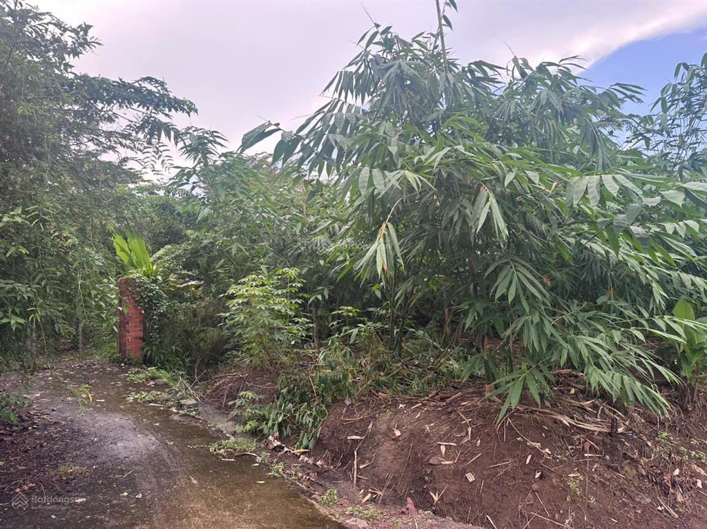 293m2 đất dầu giây vị trí sát khu công nghiệp