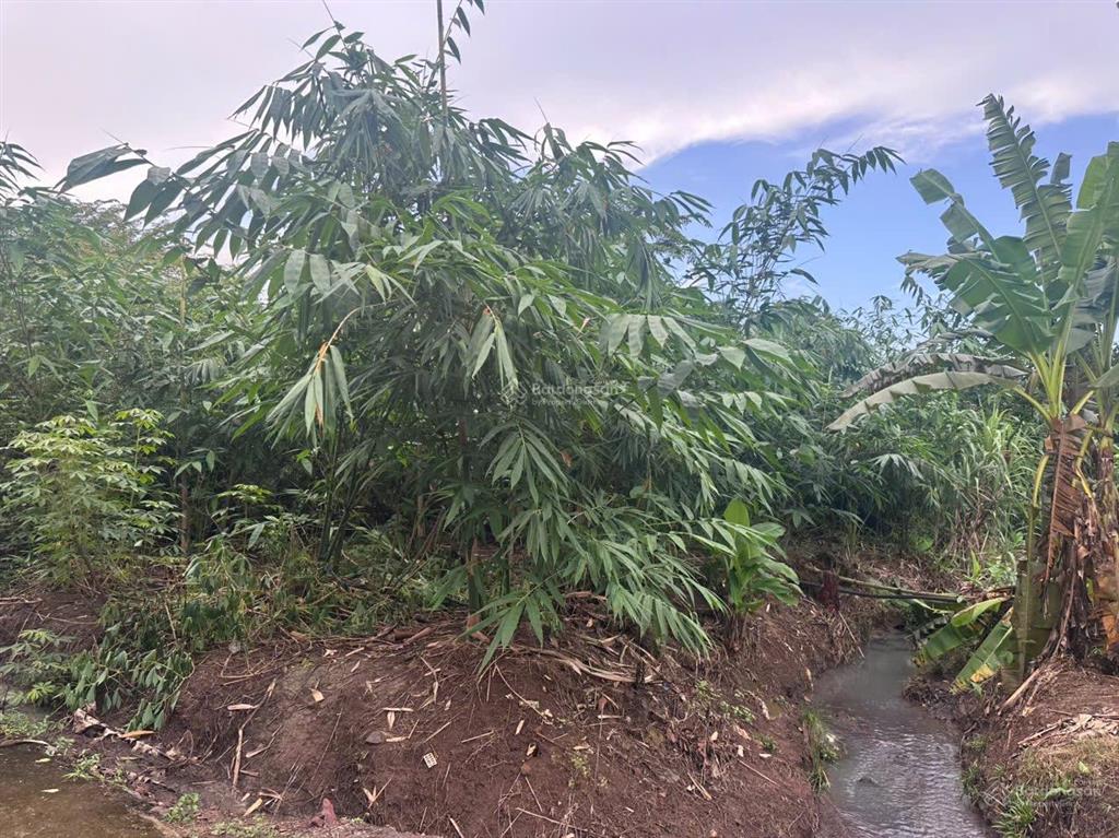 293m2 đất dầu giây vị trí sát khu công nghiệp