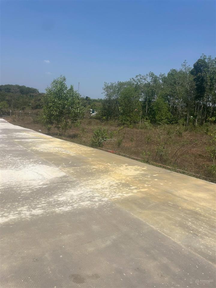 Đất mt đường nhựa chính chợ hưng lộc ngay kcn dầu giây, 172m2