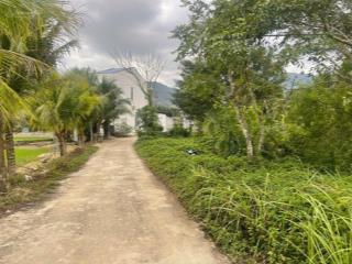 Bán đất suối tiên  diên khánh giá chỉ 565 triệu cách đường hl 39 chỉ 100m  nhà xây đông đúc