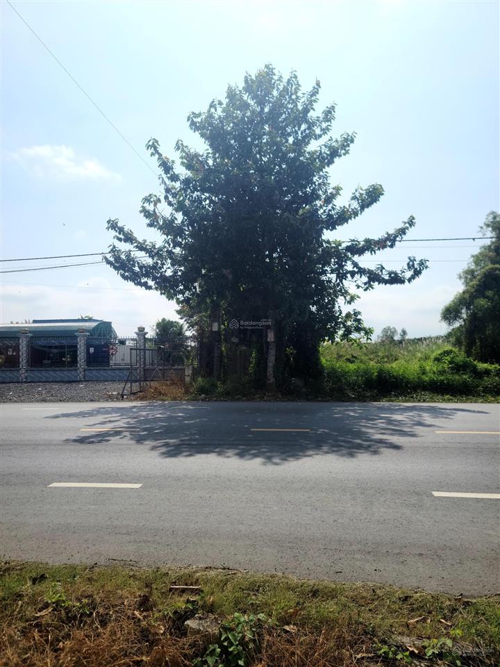 Chính chủ bán đất mặt tiền đường quốc lộ 80 sa đéc  đồng tháp, dt 2684m2, giá 4,7 triệu/m2