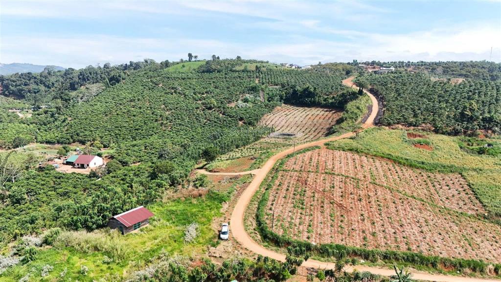 Chủ gửi bán gấp 1,2 ha view sông tại tân thanh  lâm hà  giá chỉ 2tỷ5