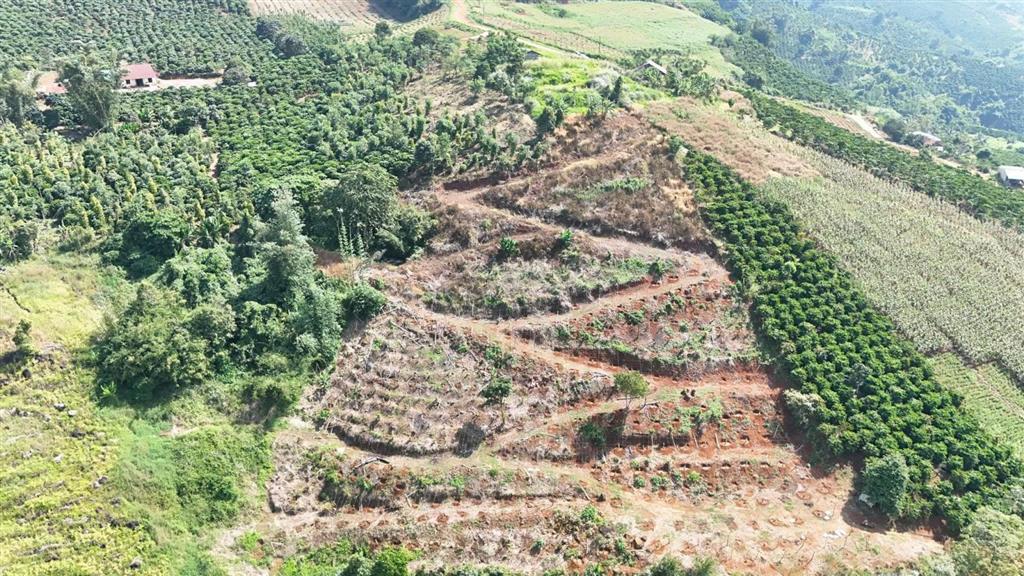 Chủ gửi bán gấp 1,2 ha view sông tại tân thanh  lâm hà  giá chỉ 2tỷ5
