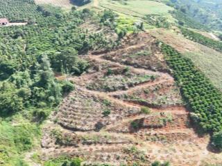 Chủ gửi bán gấp 1,2 ha view sông tại tân thanh  lâm hà  giá chỉ 2ty5