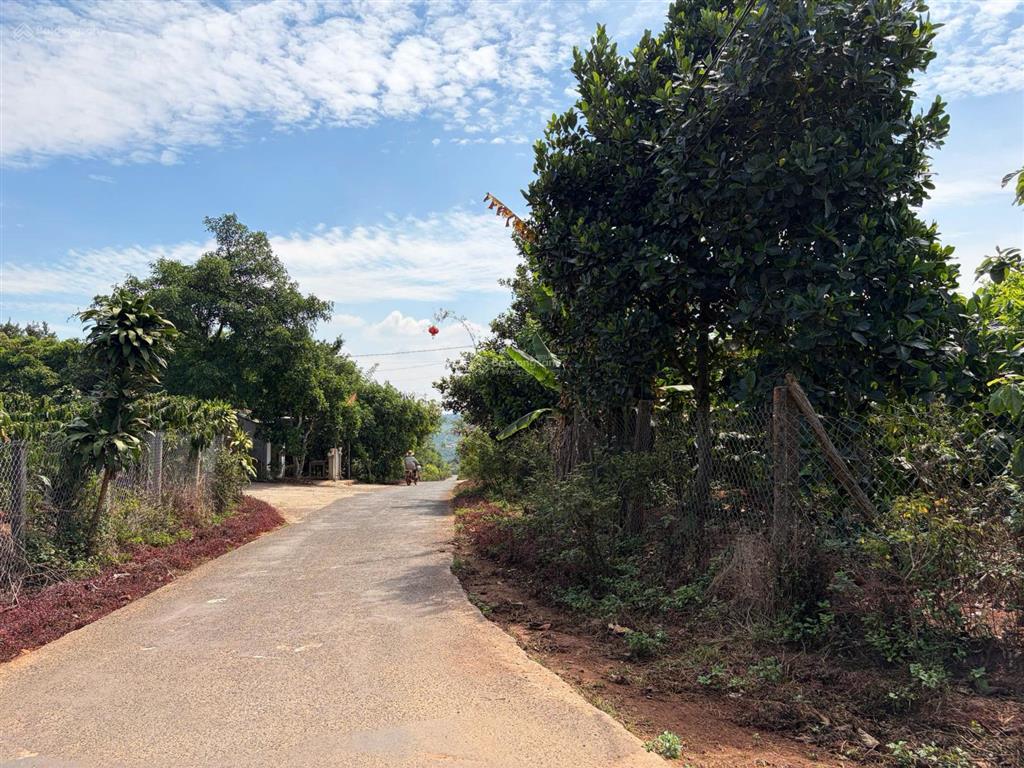 400 triệu có ngay đất thổ cư view núi brayang  hiếm khu vực cách quốc lộ 20 chỉ 1.5km