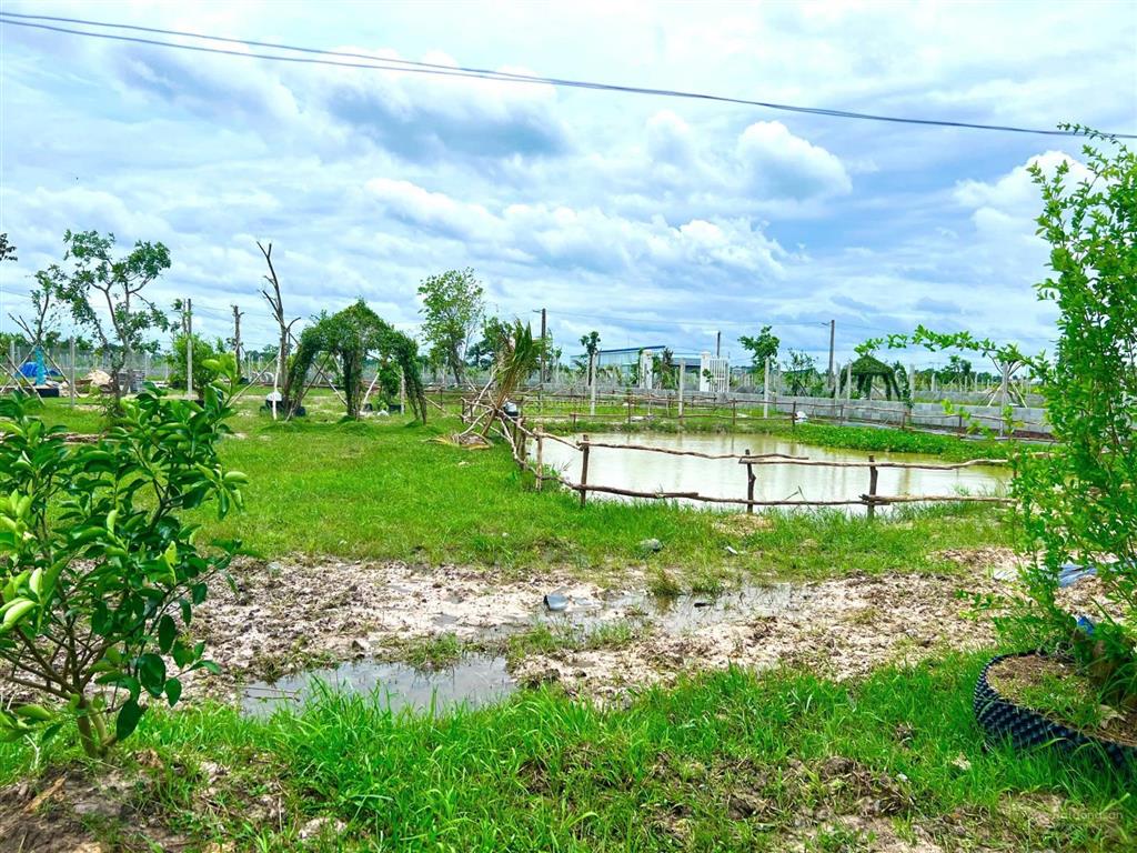 Đất nhà vườn thổ cư nghỉ dưỡng 1200m2, 120m2 thổ cư nằm ngay trung tâm thị trấn gò dầu  tây ninh