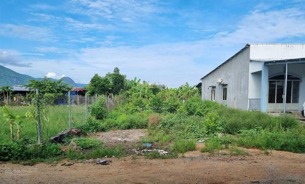 Bán nhanh nên đất thổ 189m² mt đường nhựa, ngay phường an tịnh, tx trảng bàng