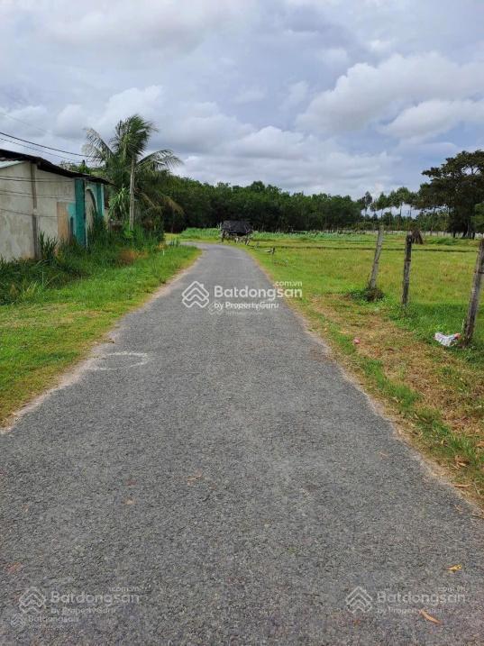 Lô đất 288m2 ngay an tịnh, trảng bàng, tây ninh, sổ hồng riêng, giá tốt 830 triệu