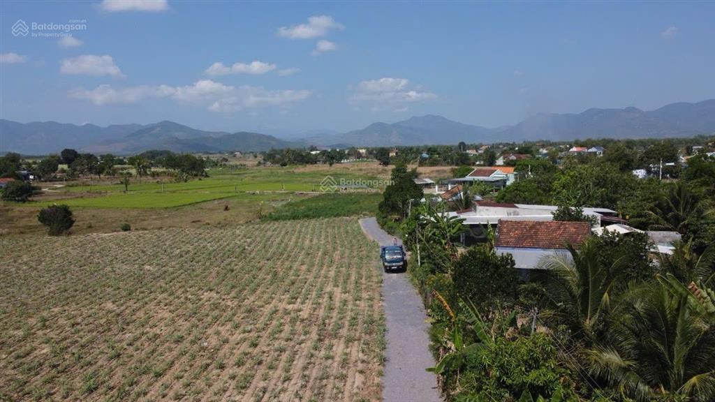 Đất ninh xuân ninh hoà 238m2 có 100m2 thổ cư giá thu hồi vốn 365tr