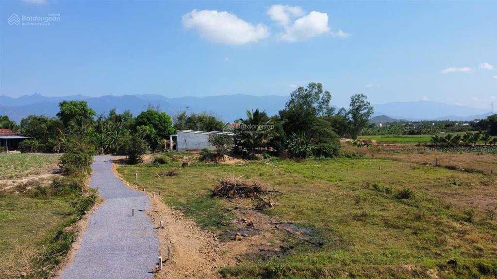 Đất ninh xuân ninh hoà 238m2 có 100m2 thổ cư giá thu hồi vốn 365tr