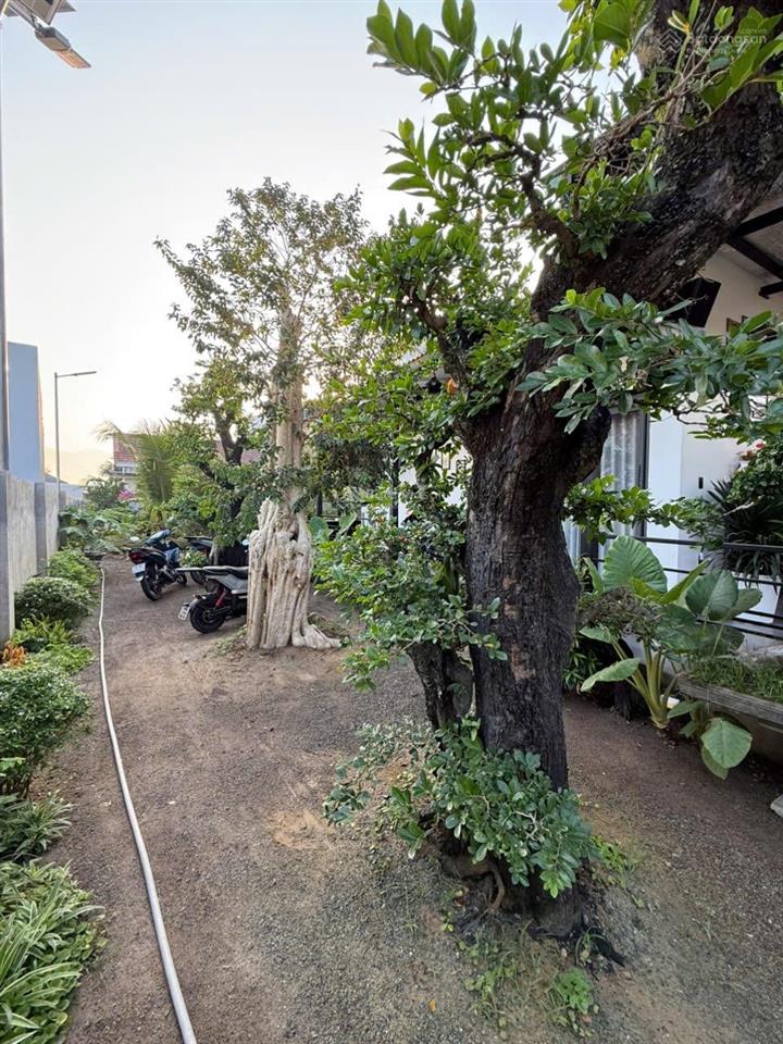 Nhà vườn nghĩ dưỡng 520m2 ngay trung tâm xã diên điền với nhiều cây cảnh vip