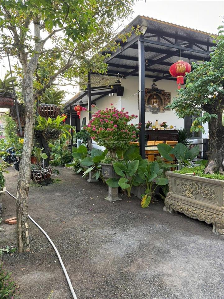 Nhà vườn nghĩ dưỡng 520m2 ngay trung tâm xã diên điền với nhiều cây cảnh vip