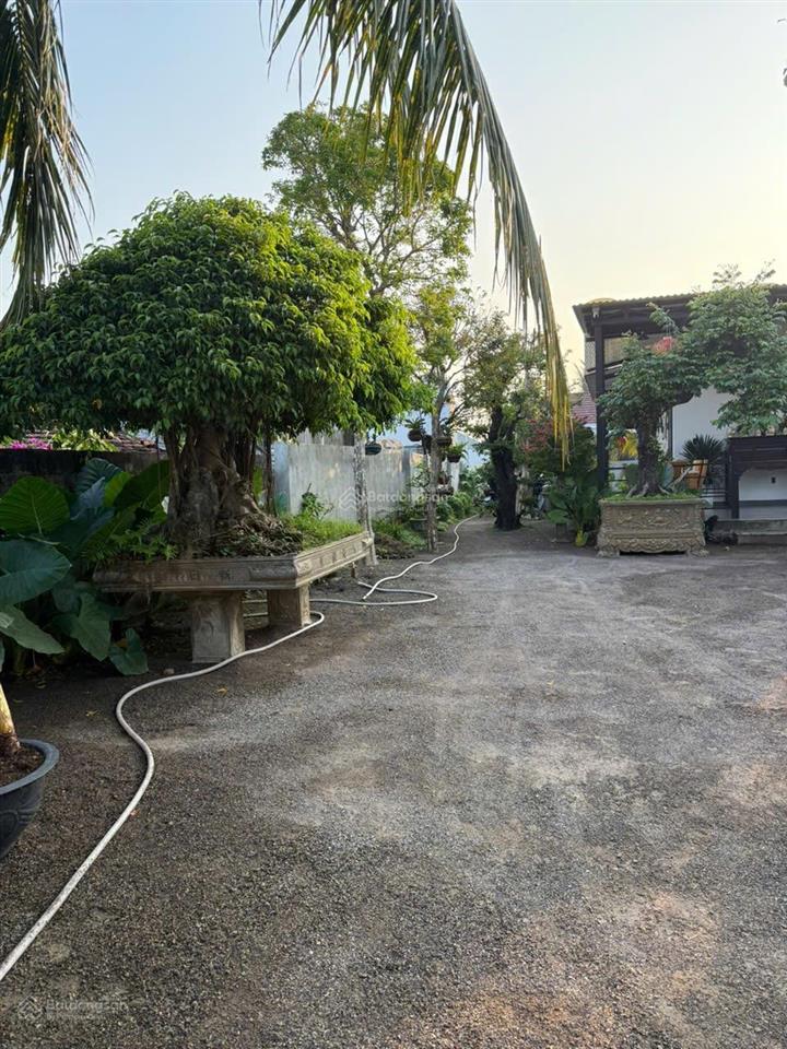 Nhà vườn nghĩ dưỡng 520m2 ngay trung tâm xã diên điền với nhiều cây cảnh vip
