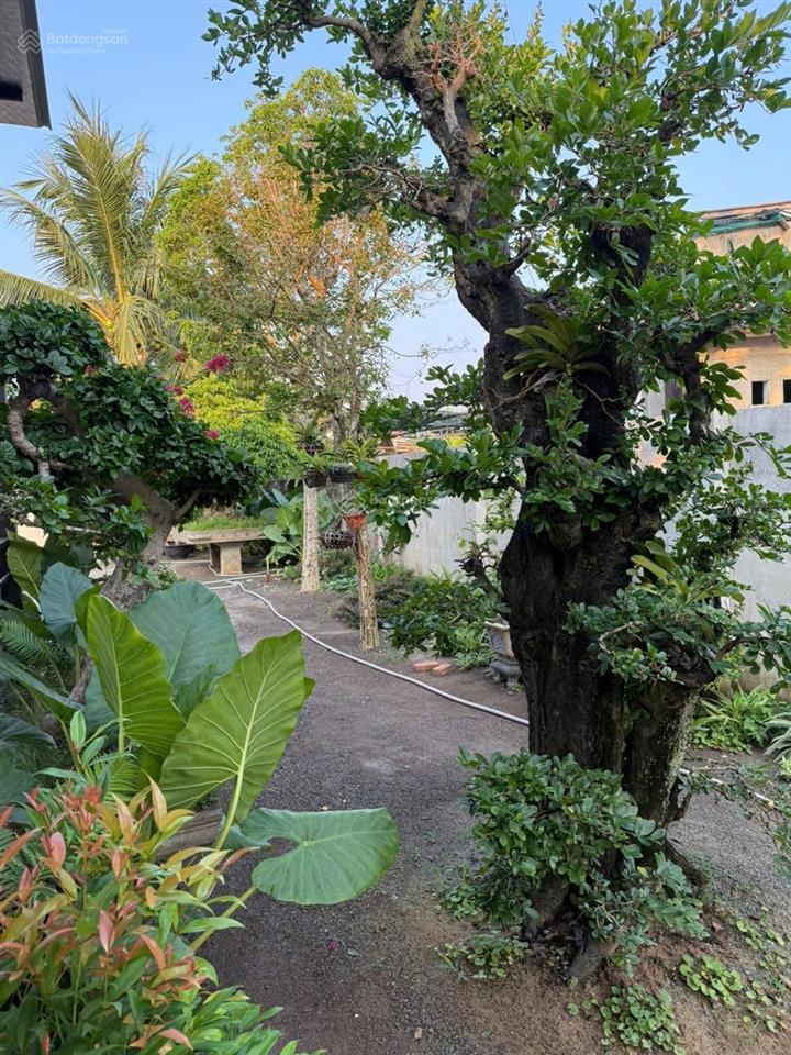 Nhà vườn nghĩ dưỡng 520m2 ngay trung tâm xã diên điền với nhiều cây cảnh vip