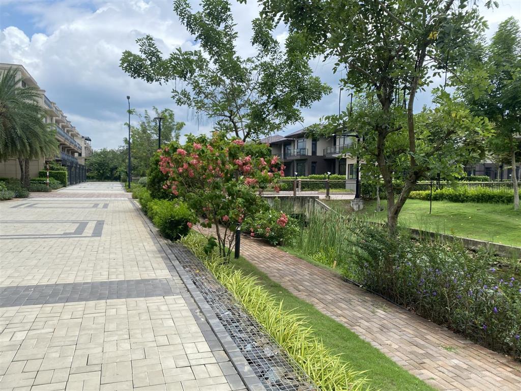 Shophouse tân cổ điển 6x17m view kênh đào giá chỉ 6,5 tỷ  kđt waterpoint long an   0906 499 ***