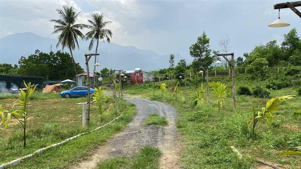 Bán 5000m2 đất gần đường bà nà  suối mơ, hoà ninh, hoà vang, đà nẵng