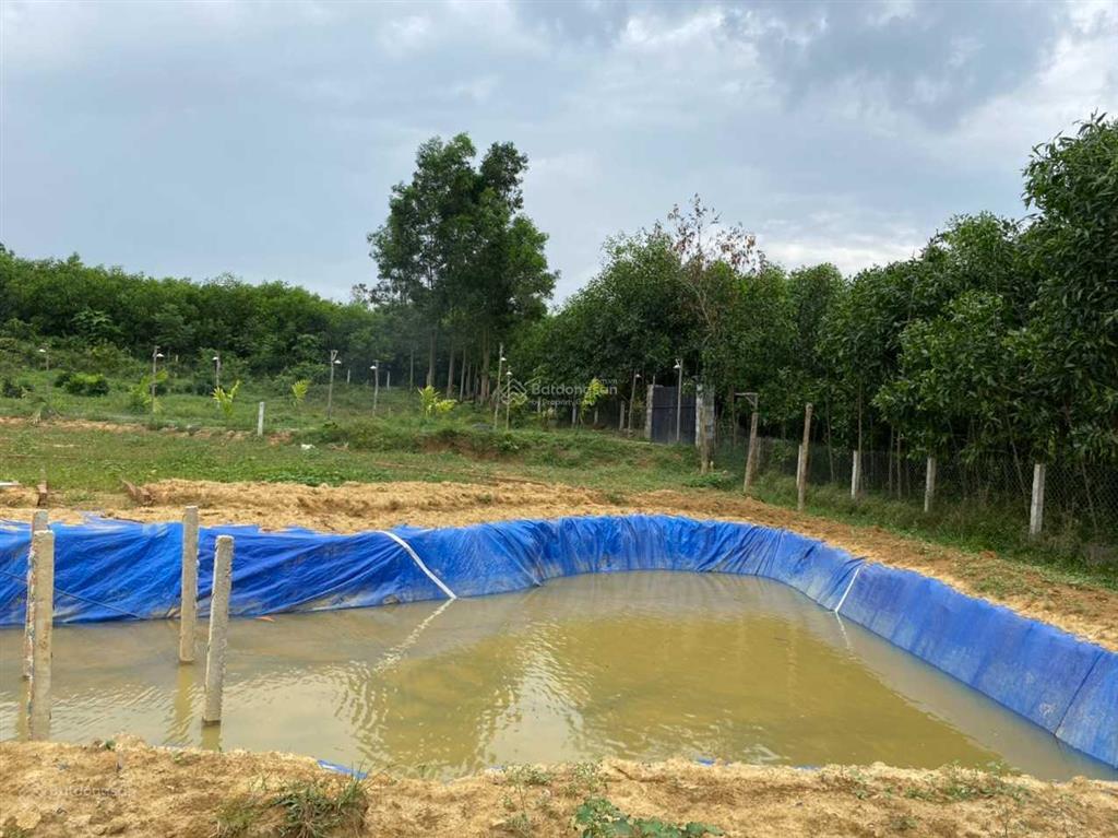 Bán 5000m2 đất gần đường bà nà  suối mơ, hoà ninh, hoà vang, đà nẵng