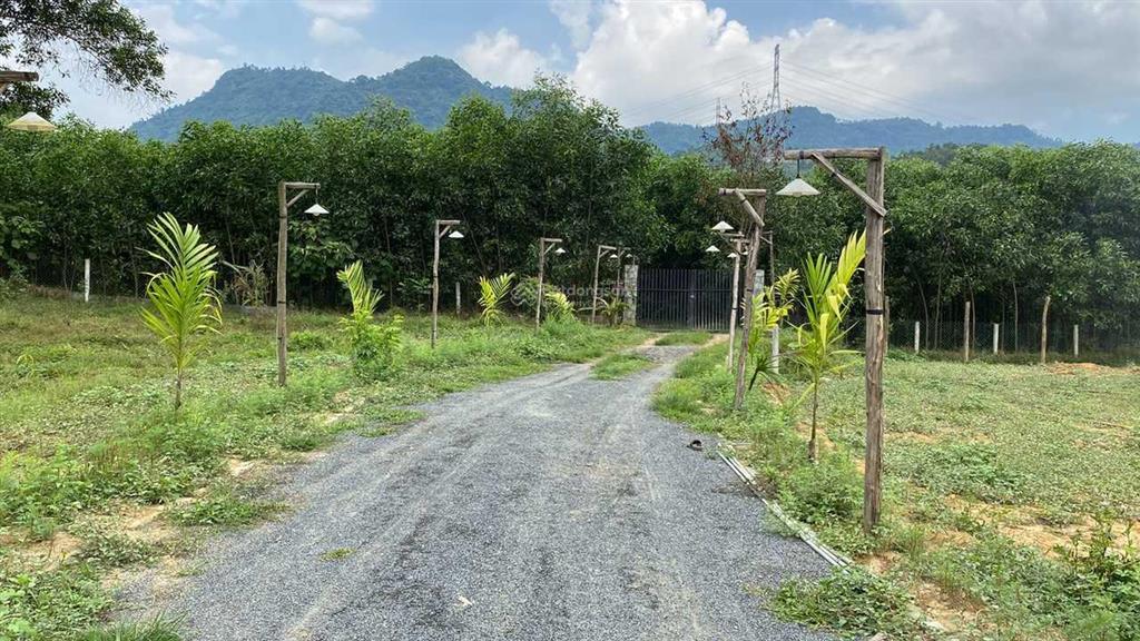Bán 5000m2 đất gần đường bà nà  suối mơ, hoà ninh, hoà vang, đà nẵng