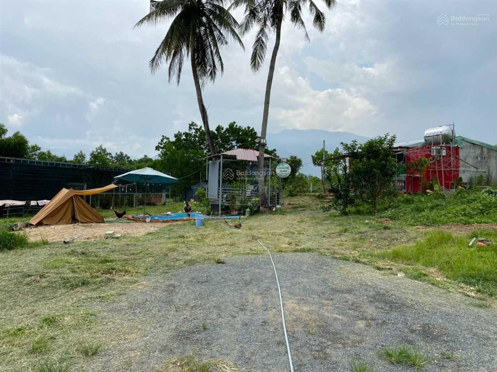 Bán 5000m2 đất gần đường bà nà  suối mơ, hoà ninh, hoà vang, đà nẵng