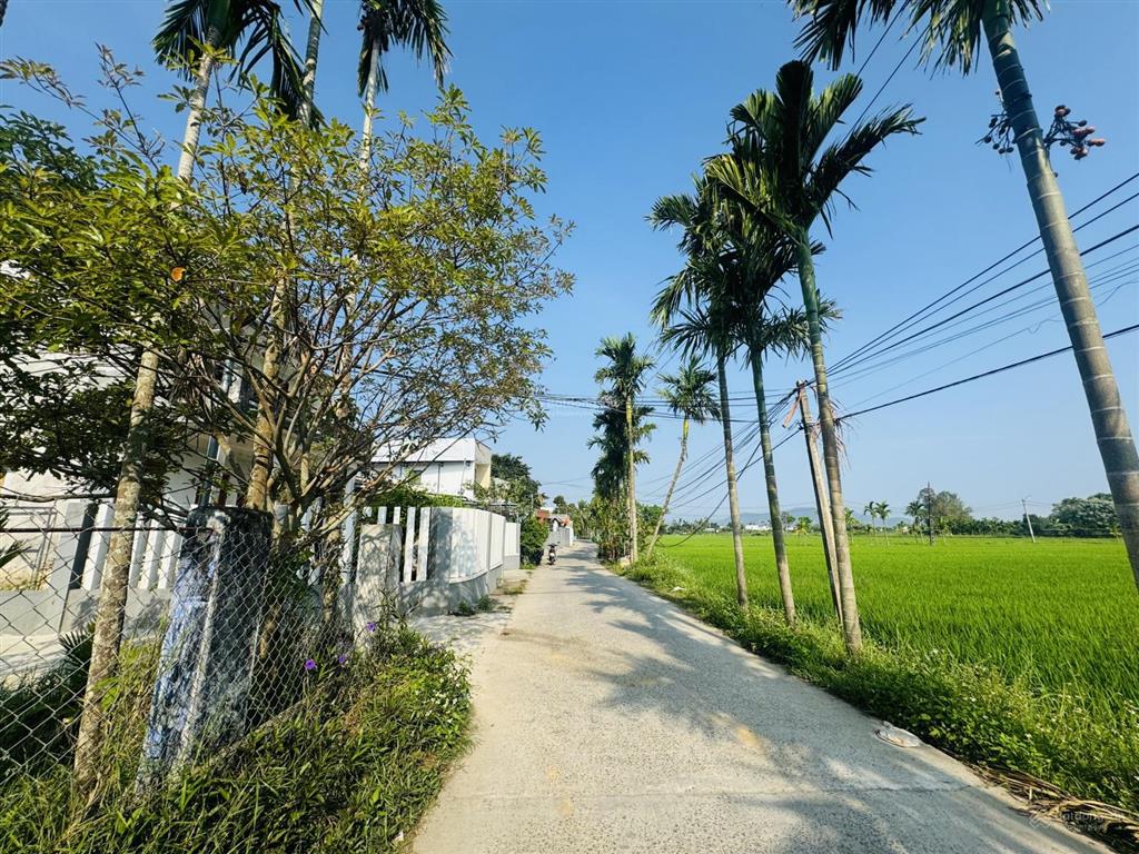 Lô 2 mặt tiền đường 6m quang châu view cánh đồng  phường hoà xuân giá tốt