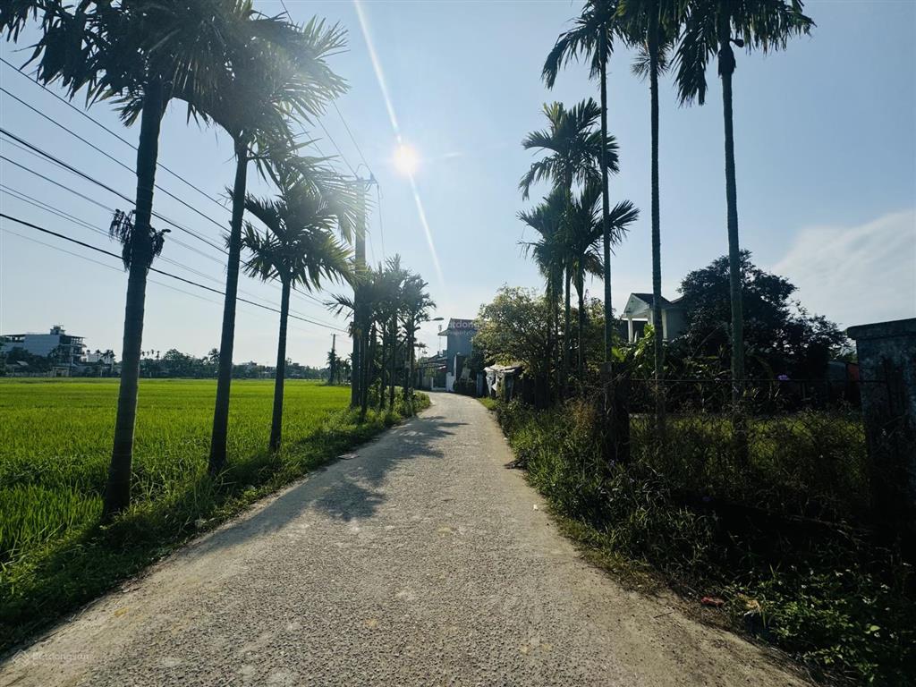 Lô 2 mặt tiền đường 6m quang châu view cánh đồng  phường hoà xuân giá tốt