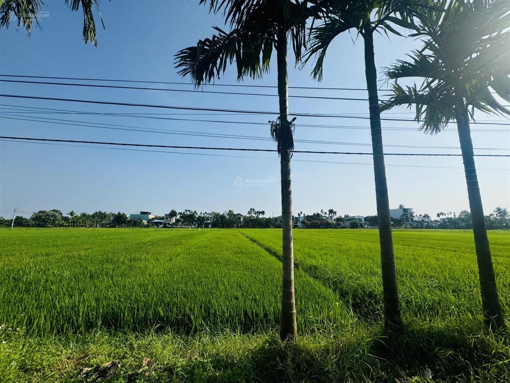 Lô 2 mặt tiền đường 6m quang châu view cánh đồng  phường hoà xuân giá tốt