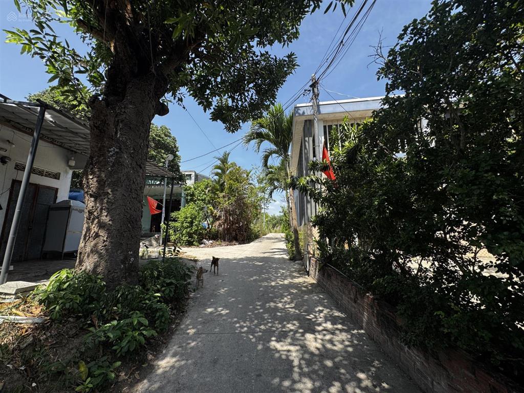 Cần bán lô 300m2 đường ô tô 5m tôn đản nối dài  thích hợp xây trọ cho thuê làm nhà vườn
