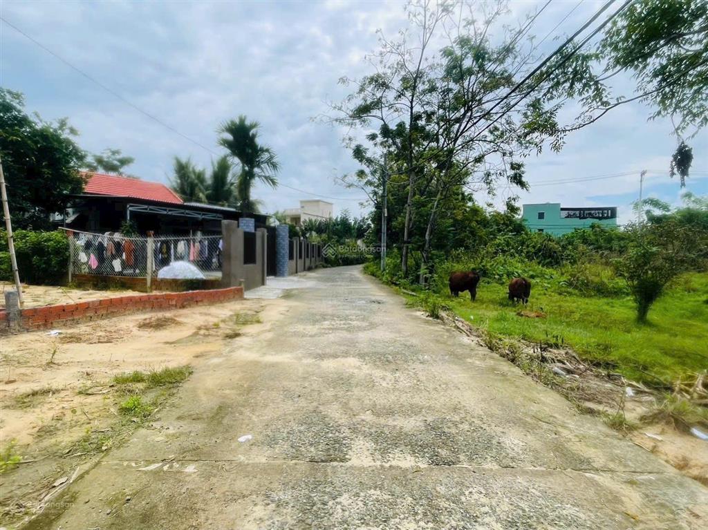 Cần bán lô đường ô tô 5m hòa xuân giá tốt