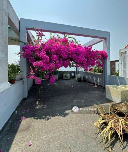 Bán nhà mặt tiền hoàng bật đạt, ngay làng đại học, 103m2 nhà đẹp full nội thất