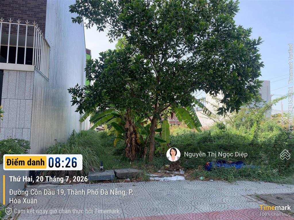 Hạ giá bán nhanh 3 lô liền kề cồn dầu 19  vị trí gần nguyễn phước lan  có bán cặp