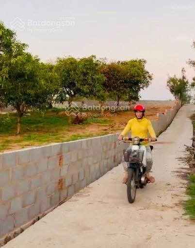 Bán đất lớn lô góc 2 mặt tiền 1280m2 (24x60m) đường lớn nguyễn tri phương xuyên đặc khu, chỉ 8.9 tỷ