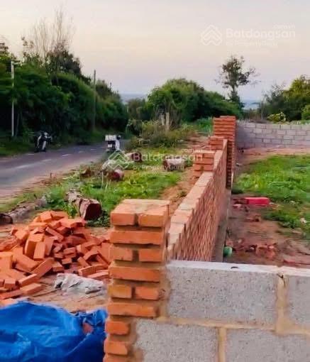 Bán đất lớn lô góc 2 mặt tiền 1280m2 (24x60m) đường lớn nguyễn tri phương xuyên đặc khu, chỉ 8.9 tỷ