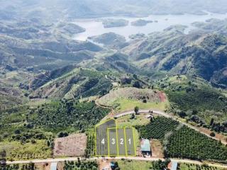 Chính chủ bán đất view hồ tà đùng 647,1m2  230m2 thổ cư  tà đùng lâm đồng giá 5.14 tỷ