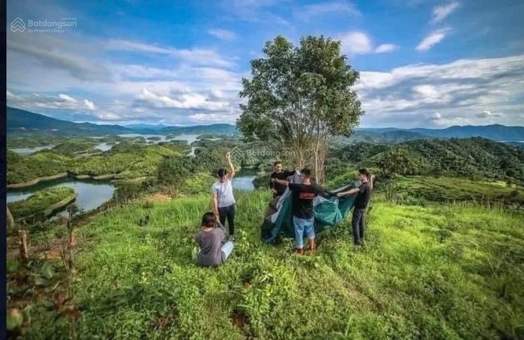 Chính chủ bán đất view hồ tà đùng 647,1m2  230m2 thổ cư  tà đùng lâm đồng giá 5.14 tỷ