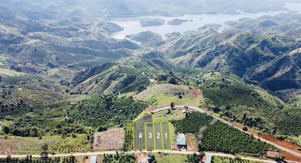 Đất villa view hồ tà đùng  618.3m²  230m² đất ở  thế đất nở hậu  giá 4,92 tỷ