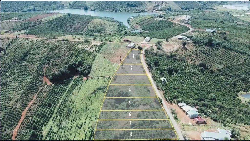 Đất mặt tiền 48,5m cửa ngõ tà đùng  hơn 1.116m²  phù hợp kinh doanh tà đùng lâm đồng