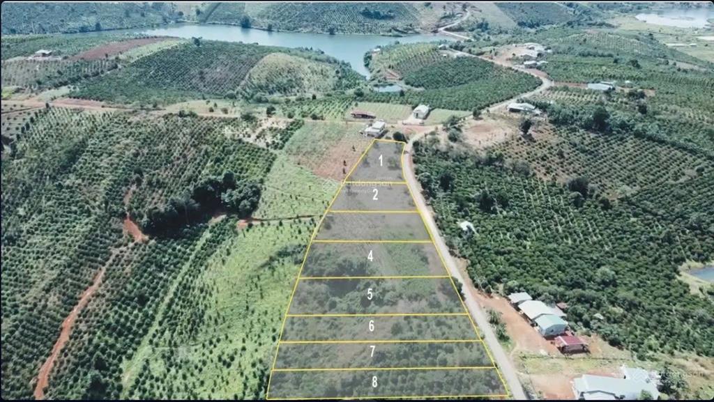 Đất mặt tiền 48,5m cửa ngõ tà đùng  hơn 1.116m²  phù hợp kinh doanh tà đùng lâm đồng