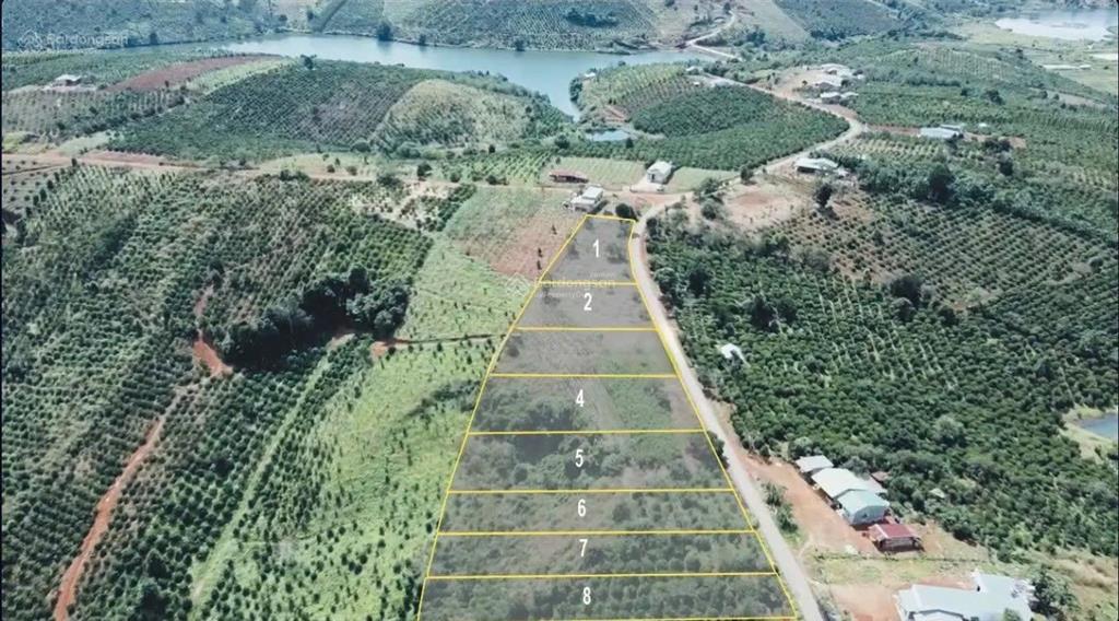 Bán đất phù hợp kinh doanh cửa ngõ tà đùng  1.126,3m²  mặt tiền 17m